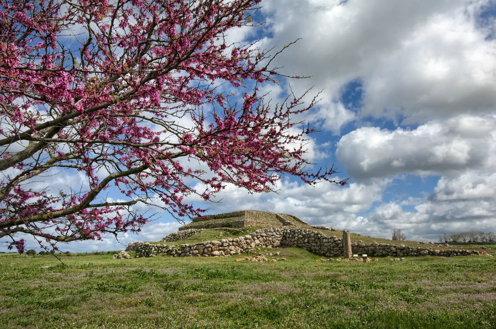 Il santuario di Monte d'Accoddi - 2