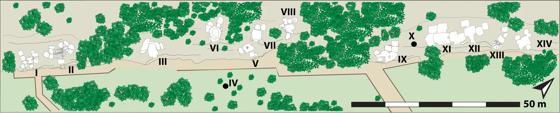 Necropoli di Mesu 'e Montes - 10