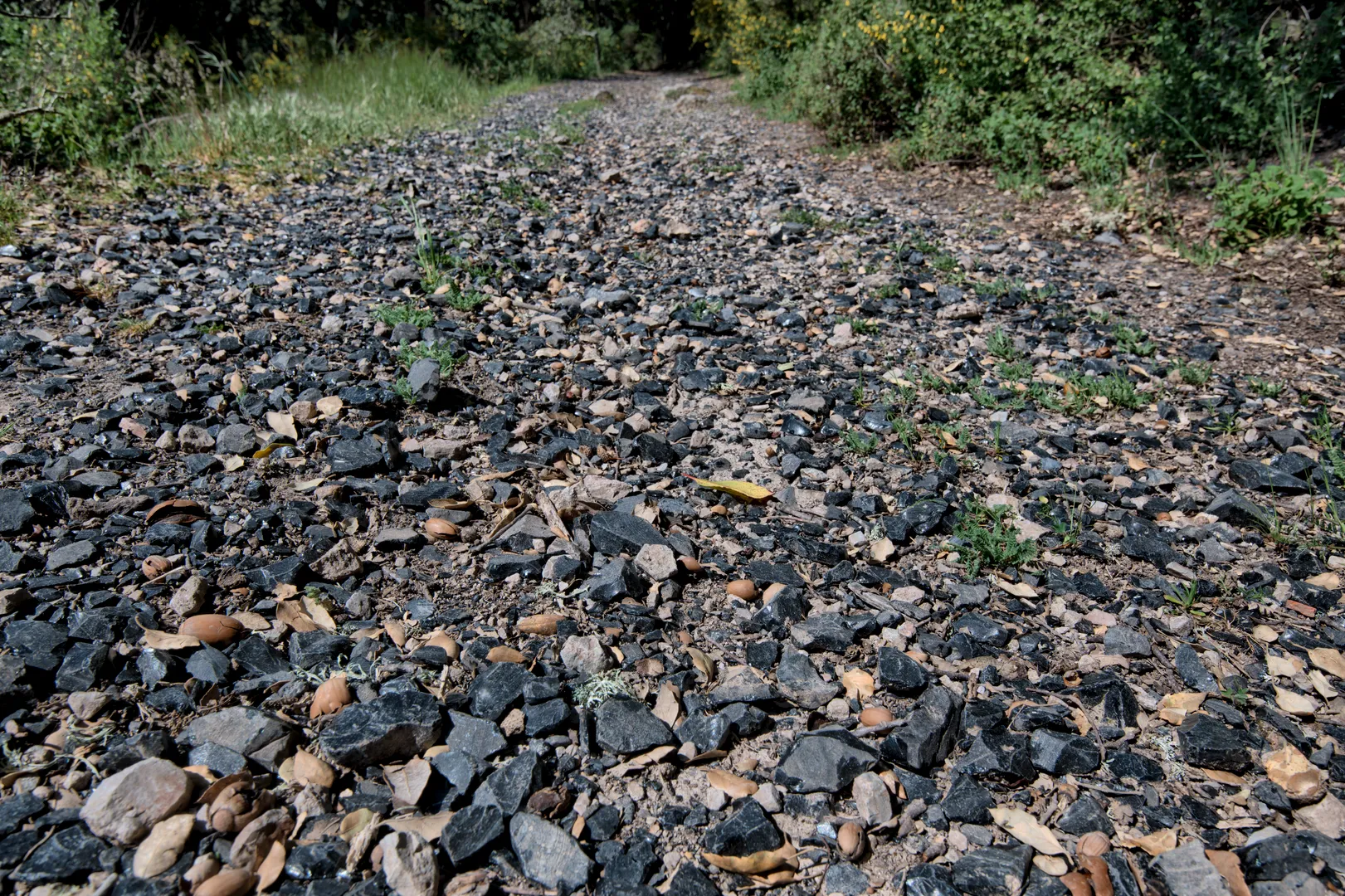 Riparo di Su Forru de is Sinzurreddus e Officine litiche di Sennixeddu - 1