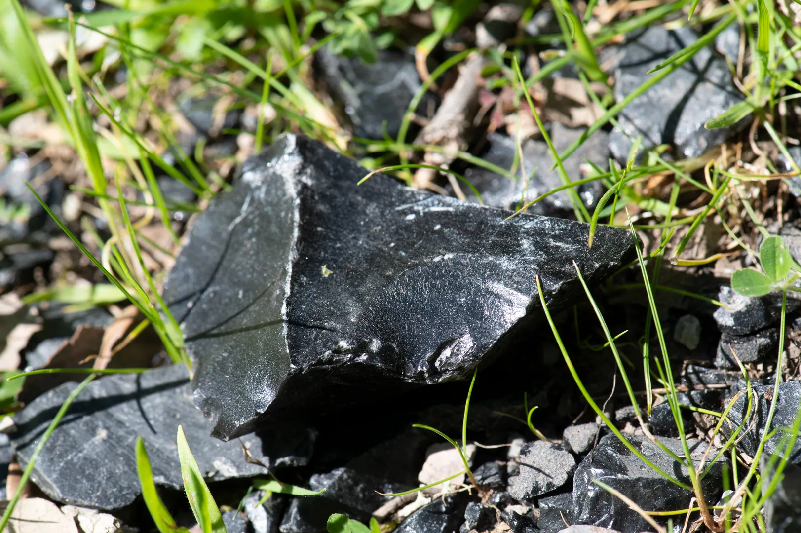 Riparo di Su Forru de is Sinzurreddus e Officine litiche di Sennixeddu - 3