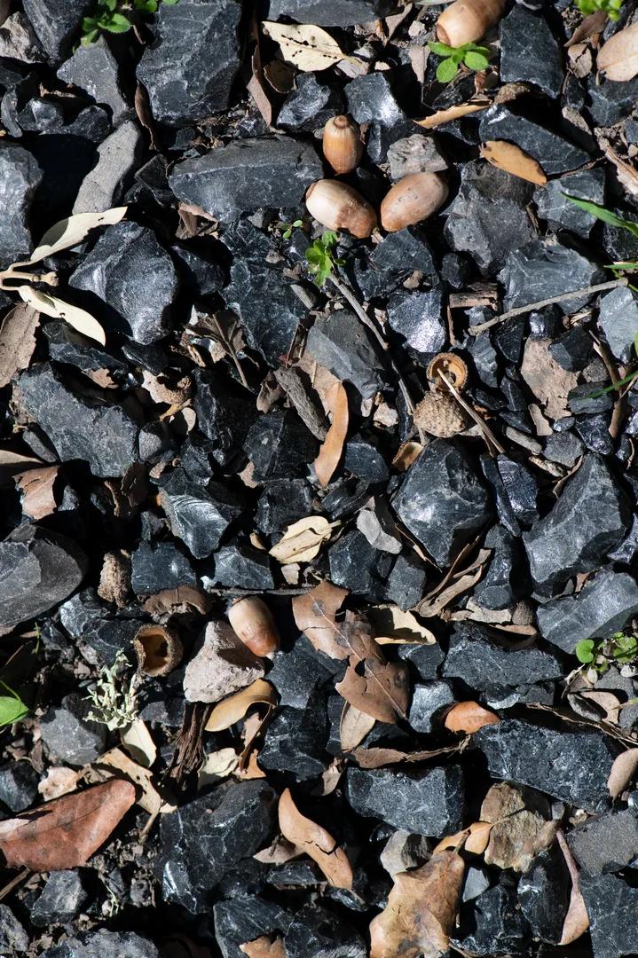 Riparo di Su Forru de is Sinzurreddus e Officine litiche di Sennixeddu - 4