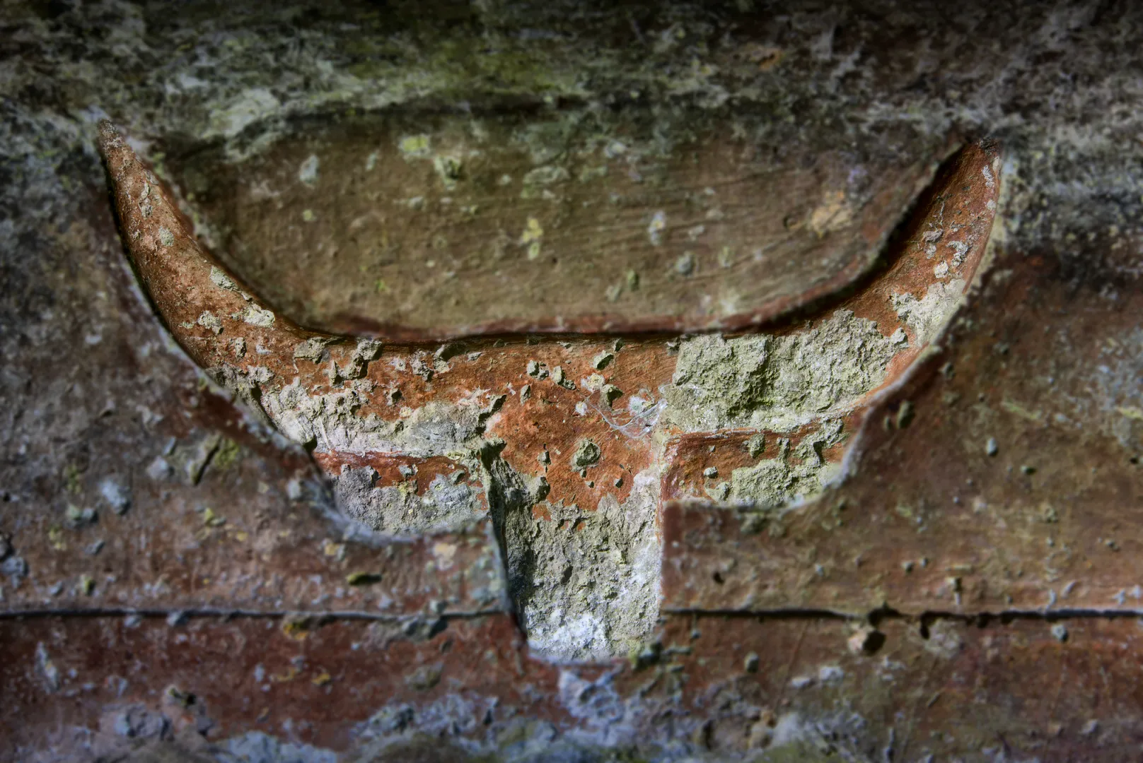 Necropoli di Sos Furrighesos - 7