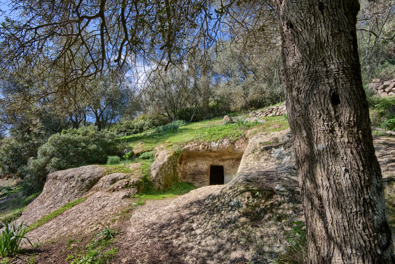 Necropoli di Ispiluncas - 3