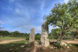 Parco archeologico di Pranu Mutteddu - Menhir