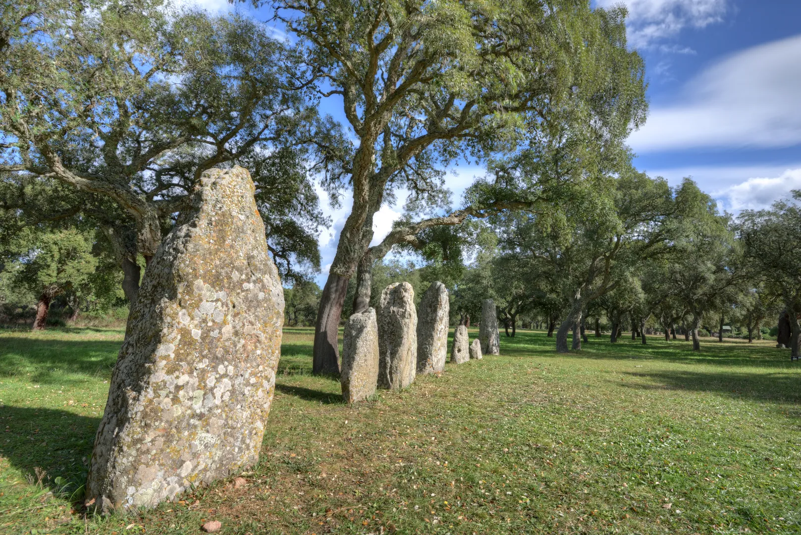 Parco archeologico di Pranu Mutteddu - 3