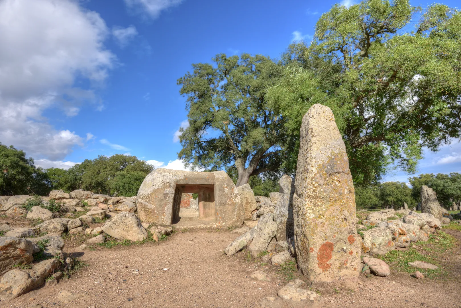 Parco archeologico di Pranu Mutteddu - 4