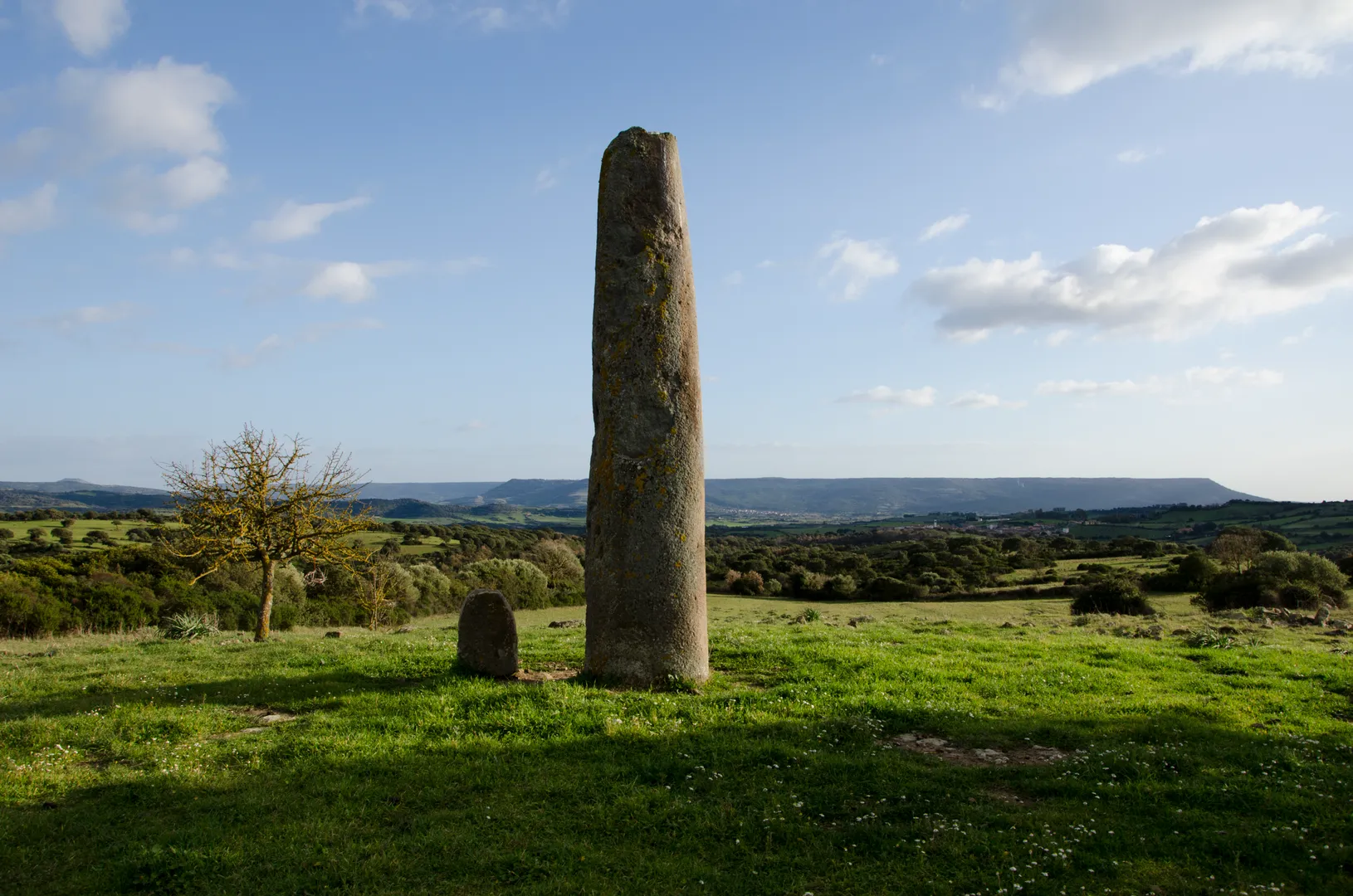Menhir di Monte Corru Tundu - 4