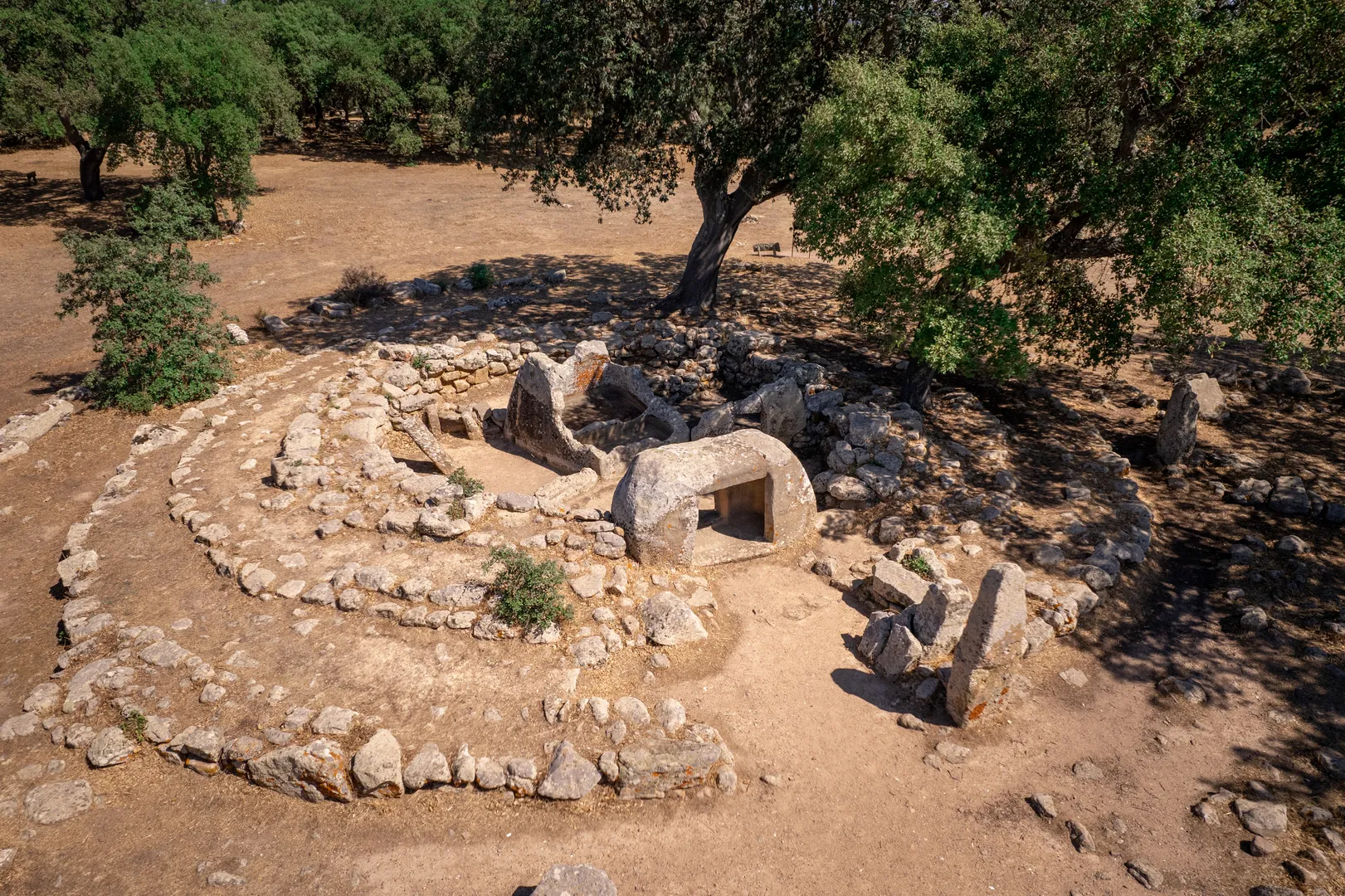 Parco archeologico di Pranu Mutteddu - 5