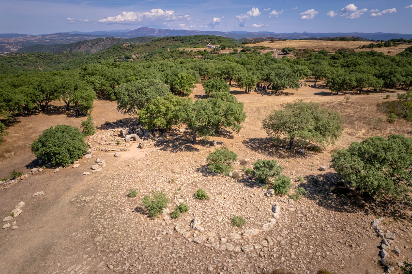 Parco archeologico di Pranu Mutteddu - 6