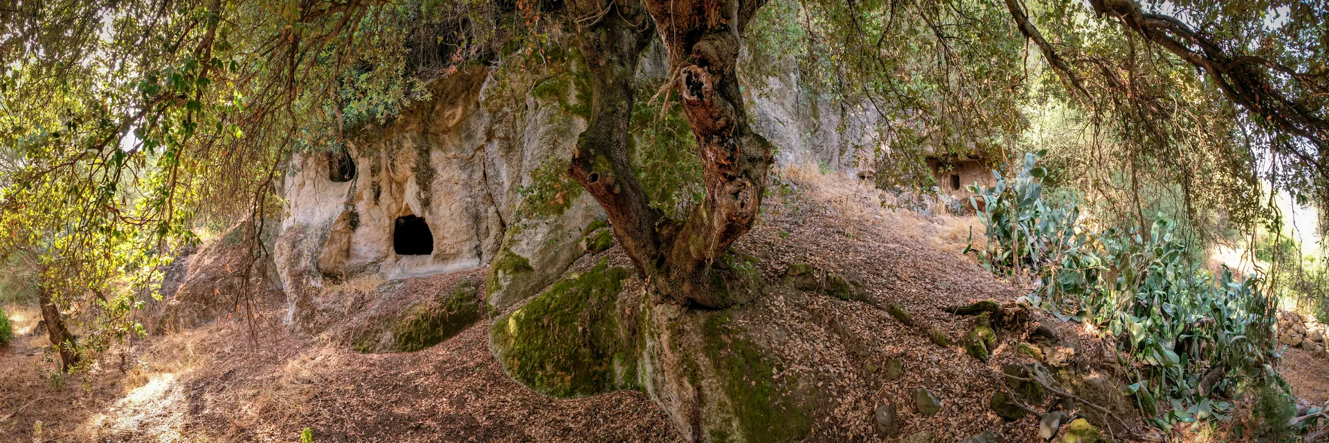 Necropoli di Ispiluncas - 4