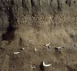 Grotta Corbeddu - Ingresso della grotta